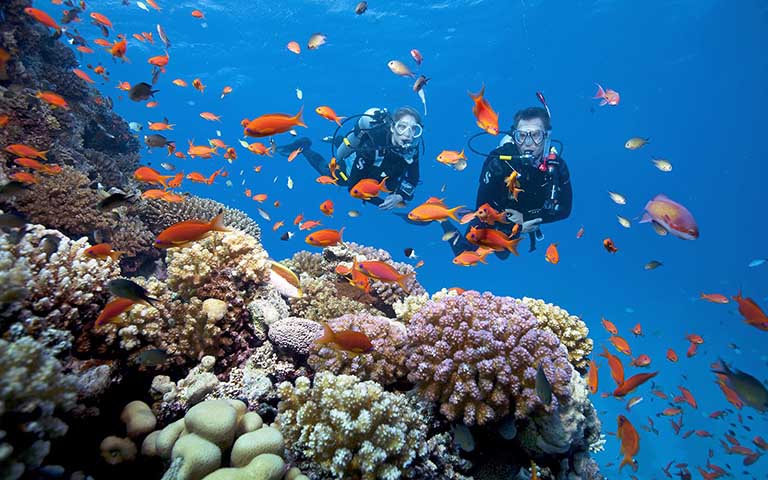 Lặn ngắm san hô là trải nghiệm đáng nhớ và mới mẻ khi du lịch 