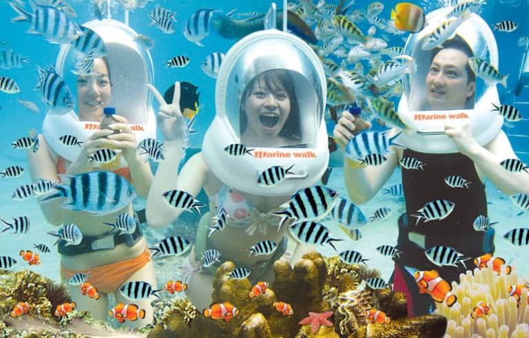 Địa điểm lặn ngắm san hô tại Phú Quốc