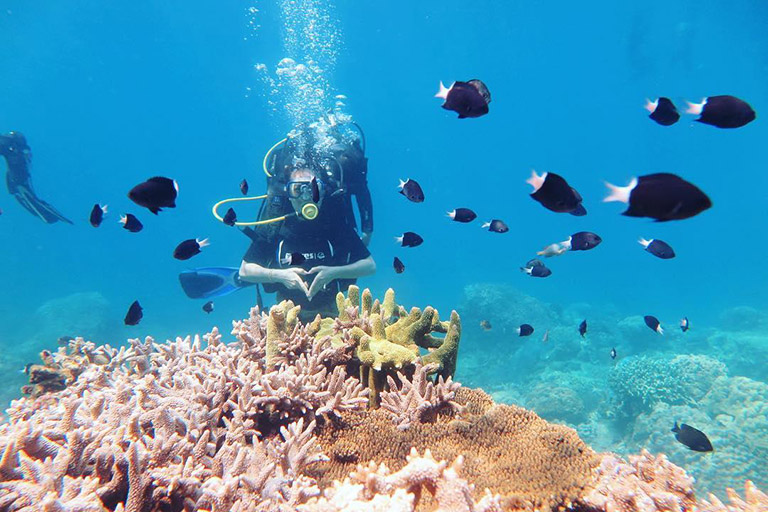 Kinh nghiệm lặn ngắm san hô tại Phú Quốc