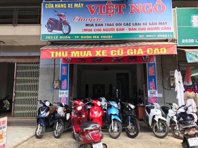 Việt Ngô chính là cơ sở cho thuê xe số lượng lớn