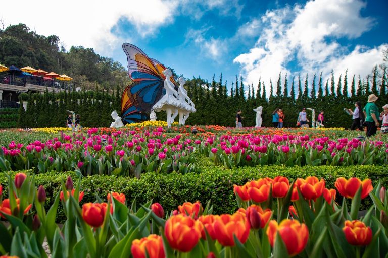 Mỗi khi đến lễ hội này, gần 1.5 triệu nụ hoa tulip có cơ hội khoe sắc rực rỡ cả một góc trời Bà Nà Hills