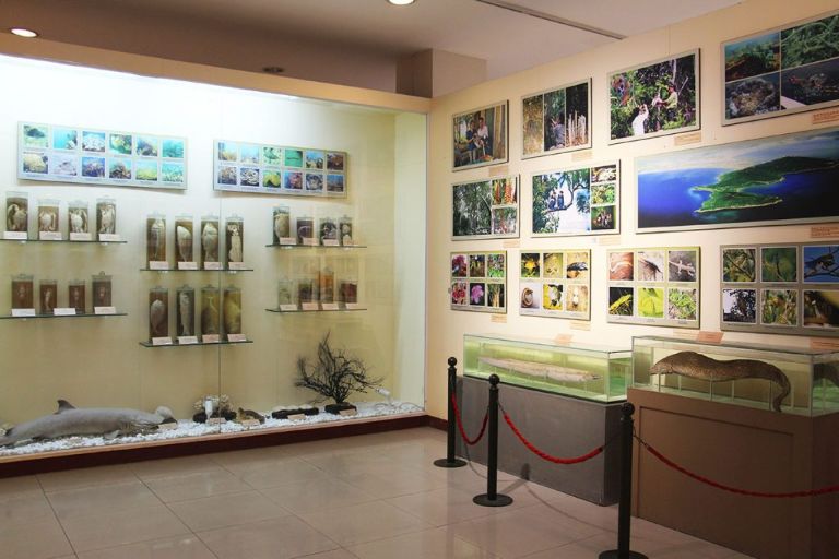 Tầng 1 bảo tàng Đà Nẵng trưng bày các hiện vật, hình ảnh thể hiện điều kiện tự nhiên, vị trí của thành phố 