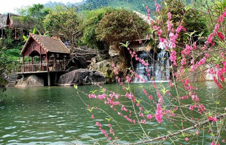 Bất kì đâu trong khuôn viên khu du lịch Hòa Phú Thành, bạn đều có thể bắt gặp những bông hoa đang thi nhau khoe sắc giữa màu xanh của núi rừng