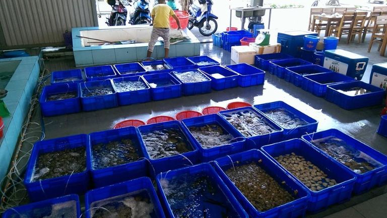 Hải Sản Cua Biển có khu vực chuyên hải sản tươi sống cho khách thoải mái lựa chọn và chế biến riêng theo yêu cầu