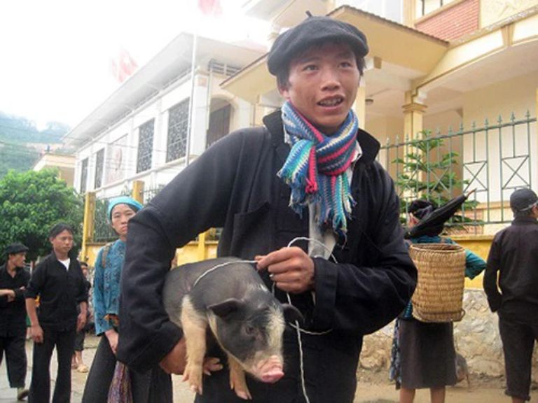 Thịt lợn cắp nách là tên gọi khá độc lạ từ loại lơn lai vùng cao có kích thước nhỏ thường được người dân cắp nách mang xuống chợ bán 
