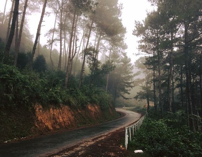 Cung đường dẫn tới rừng thông Yên Minh khá nguy hiểm nên bạn hãy chắc chắn mình có tay lái "vững" nhé! 