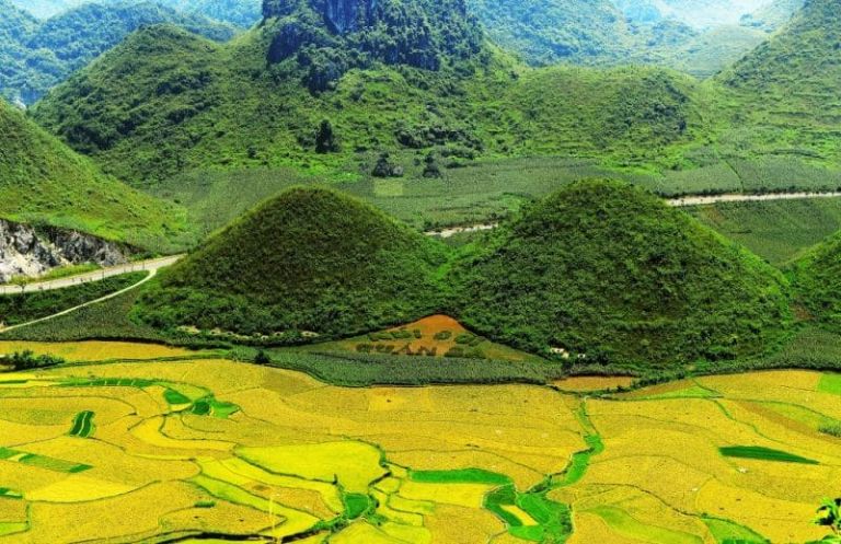 Núi đôi Quản Bạ cùng cánh đồng lúa dưới thung lũng tạo nên một khung cảnh thiên nhiên thơ mộng, làm say đắm lòng người 