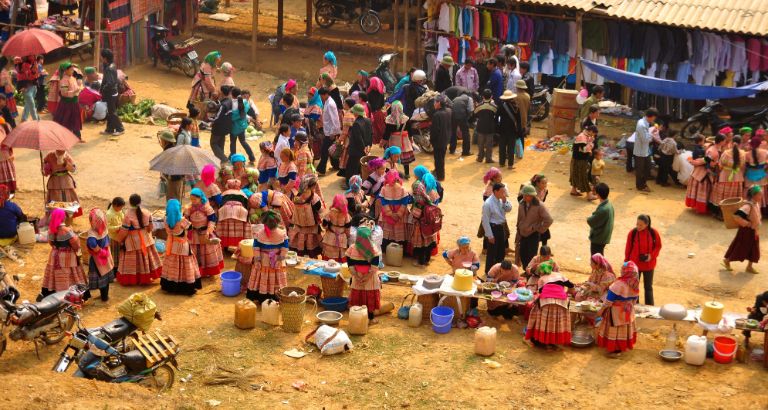 Du khách có thể tìm đến các chợ phiên lớn của Hà Giang để tìm mua chè Shan Tuyết với mức giá mềm hơn mà chất lượng không đổi 