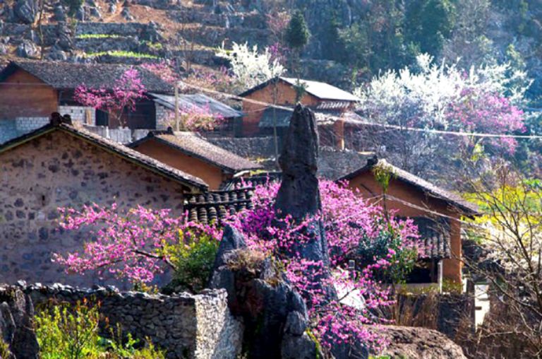 Mùa xuân là thời điểm Đồng Văn Hà Giang được mệnh danh là nơi đá cũng nở hoa
