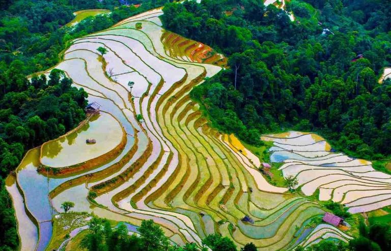 Mùa nước đổ ải của tỉnh Hà Giang là khung cảnh đồng bào dân tộc miền núi đổ xô đi lấy nước lấp đầy ruộng bậc thang, chuẩn bị cho một mùa màng bội thu