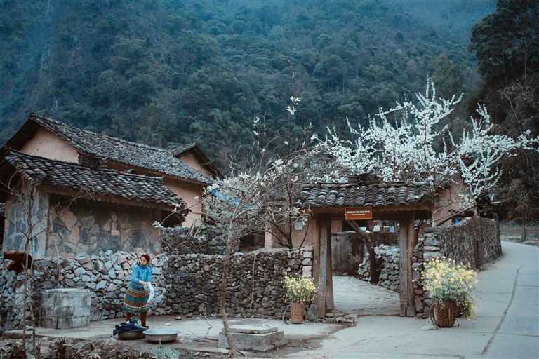 Nhà của Pao là một địa điểm du lịch Hà Giang thu hút khách du lịch bởi vẻ đẹp cổ kính, mang đậm nét văn hoá của người dân tộc Mông. 