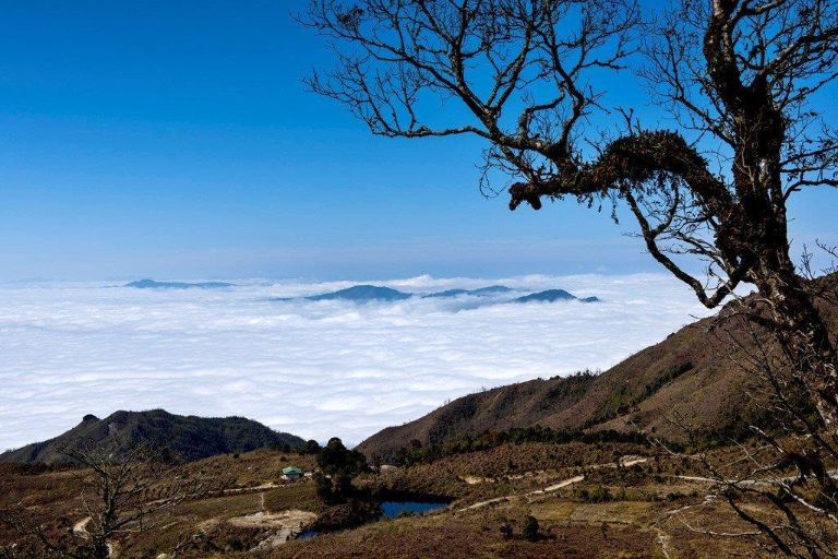 Lên tới đỉnh, du khách sẽ choáng ngợp với bồng bềnh mây trôi, và khung cảnh thiên nhiên Hoàng Sù Phì