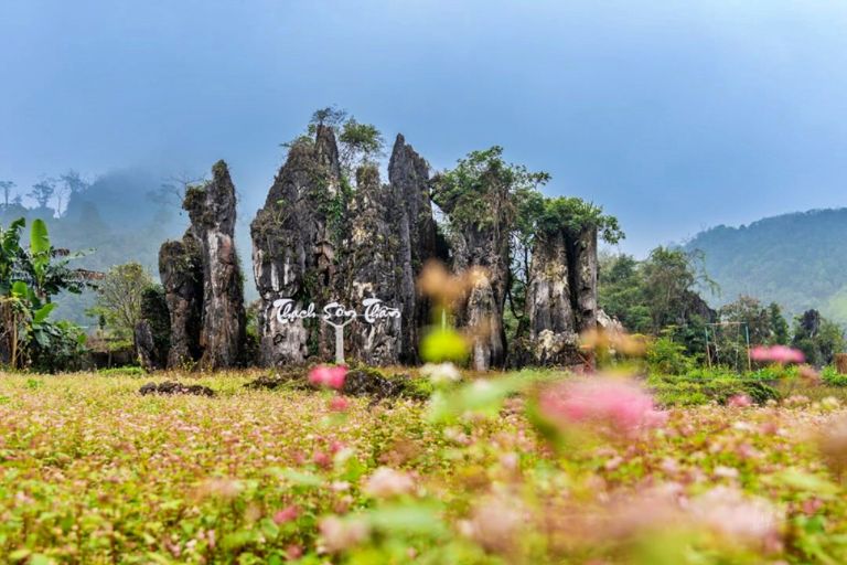 Thạch Sơn Thần là thung lũng hoa nổi tiếng tại Hà Giang.