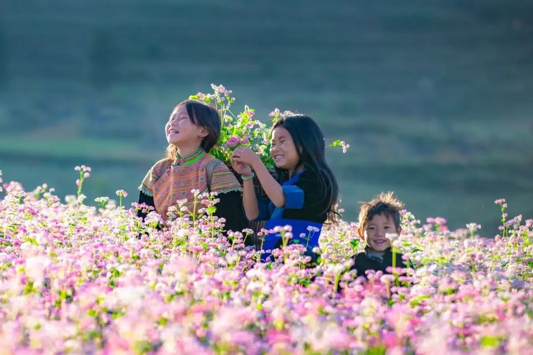 Mùa hoa tam giác mạch trên vùng cao Hà Giang luôn là điểm nhấn thu hút biết bao nhiều con người ghé đến vào tháng 10 11 