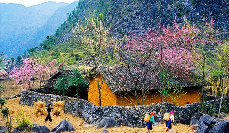 Mùa xuân cũng là thời điểm lý tưởng để du lịch Hà Giang bởi nơi đây nổi bật với không khí trong lành, màu xanh của núi rừng và các lễ hội truyền thống vui nhộn