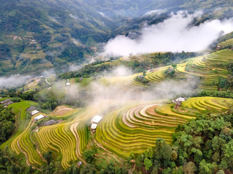Tuy lúa đã được thu hoạch vào giữa tháng 9 nhưng du khách có thể bắt gặp những cách đồng lúa chín muộn khi du lịch Hà Giang tháng 10