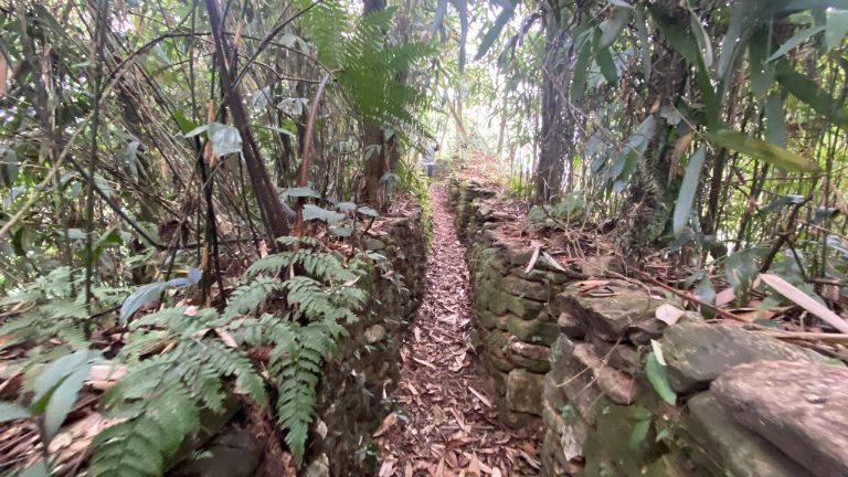 Để tiếp cận được cửa hang Thiên Thủy Hà Giang, du khách nên nhờ một người dân bản địa thông thạo đường đi dẫn ra khu rừng để dễ dàng khám phá địa điểm này