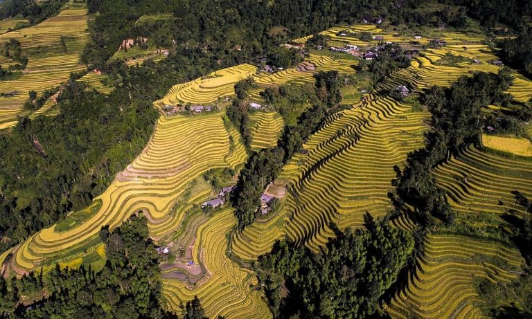 Tháng 9 là thời điểm du khách đổ dồn về Hoàng Su Phi để chiêm ngưỡng màu vàng của lúa và khung cảnh thiên nhiên hùng vỹ