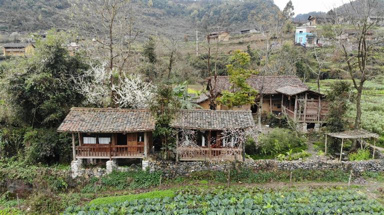 LoLo Eco House là Homestay Lũng Cú Hà Giang view đẹp, nhìn ra cột cờ Lũng Cú cùng cảnh quan núi rừng hùng vĩ. 