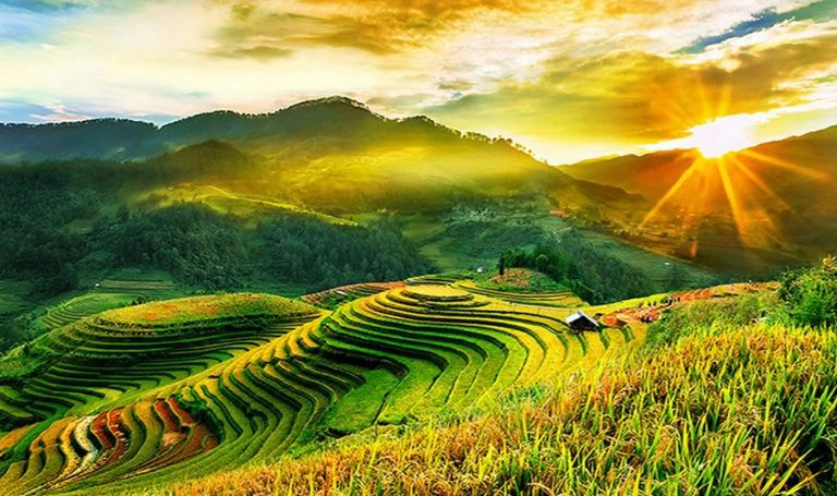 Người dân Hà Giang trồng lúa tại những thửa ruộng bậc thang trên triền núi.