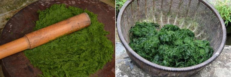 Sau khi vò hết chất nhờn, người dân sẽ phải xé tơi và dầm nhuyễn rêu ra mới có thể chế biến món rêu nướng Hà Giang đặc trưng