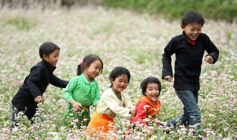 Những đứa trẻ thơ vui vẻ nô đùa trên cánh đồng hoa tam giác mạch đầu mùa trắng tinh khôi trong tiết trời thu mát mẻ