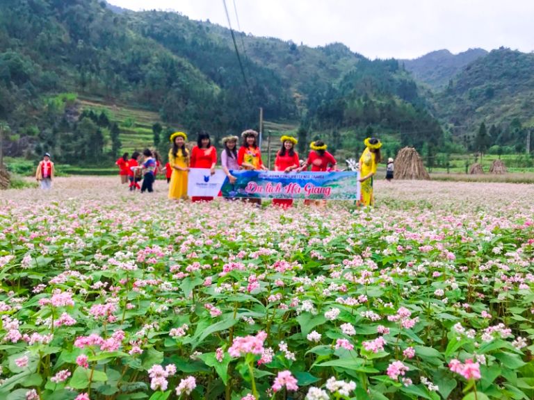 Lễ hội hoa tam giác mạch là lễ hội đặc trưng tại huyện Đồng Văn Hà Giang hàng năm