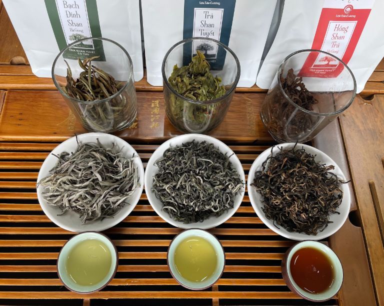 Có 3 dòng chè Shan Tuyết phổ biến với sự khác biệt về hương vị, màu sắc. 