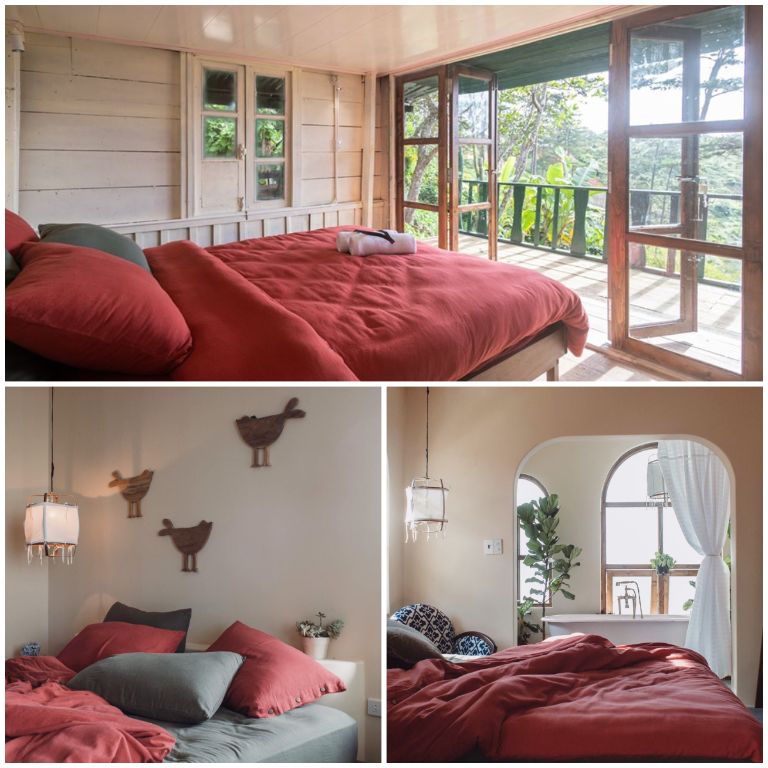 Phòng nghỉ của Home of Dreamers nổi bật gam màu đỏ, xanh, vàng ban công rộng 5 đến 7 mét vuông 
