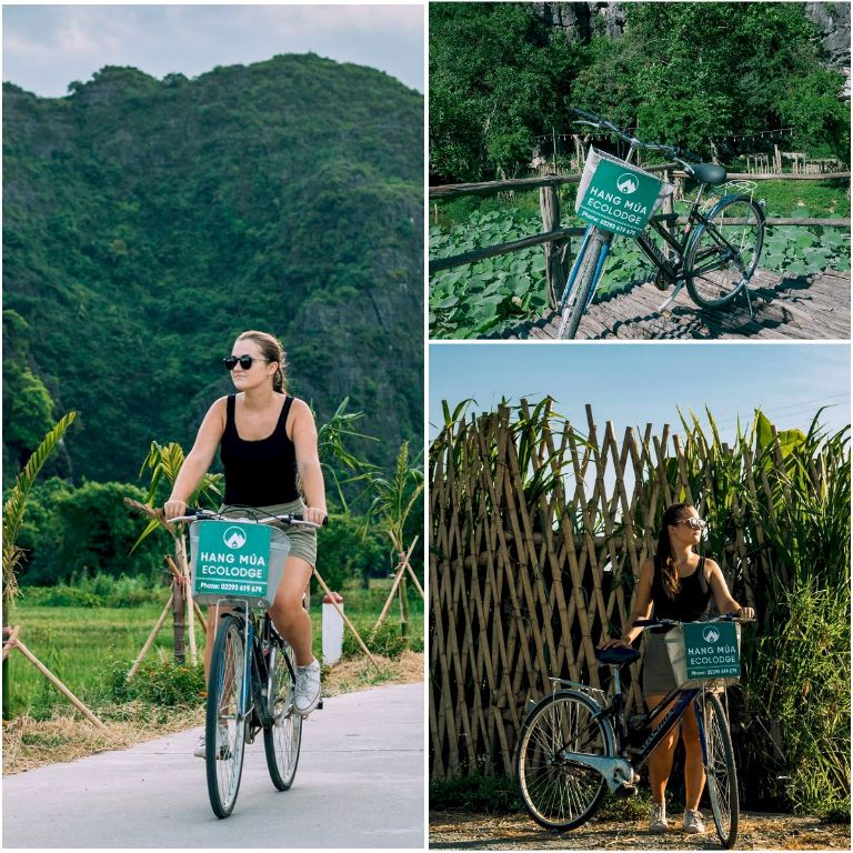 Homestay có xe đạp miễn phí phục vụ du khách dạo quanh khu vực, ngắm nhìn những cánh đồng lúa chín vàng.