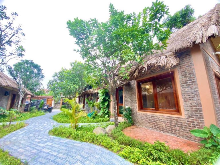 Lemon Tree Homestay hiện đang là một trong những homestay Hoa Lư Ninh Bình có chất lượng lưu trú được khách du lịch đánh giá cao nhất.