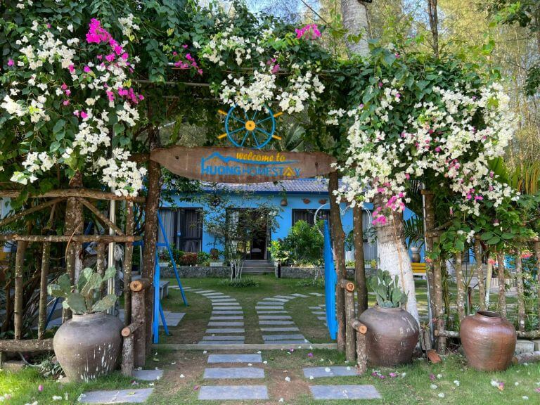 Du khách đến với homestay Thanh Hóa sẽ được chào đón với giàn hoa giấy hồng thắm (Nguồn ảnh: Facebook.com)
