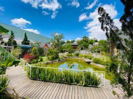 Khuôn viên In The Pines Homestay cực kỳ rộng rãi với các khu vực riêng biệt nhưng được sắp xếp cực kì hợp lý.