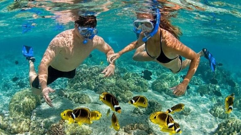 Tại BaNaNa Homestay Phú Quốc, du khách có thể trải nghiệm dịch vụ lặn biển chuyên nghiệp, hứa hẹn đem đến những trải nghiệm khám phá đại dương tuyệt vời.