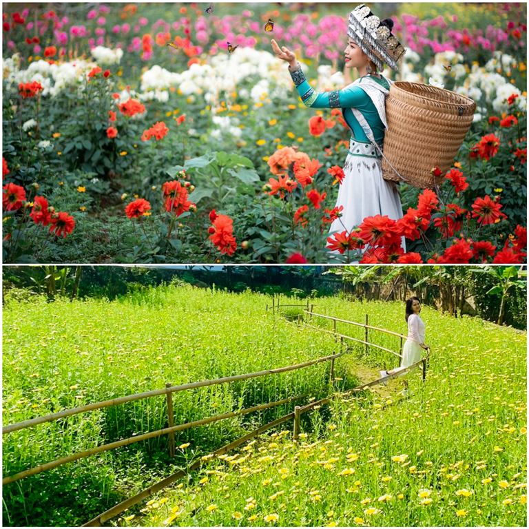 Lương Sơn Homestay có vô vàn góc sống ảo cực chill cho chị em, điển hình là vườn hoa theo mùa. \