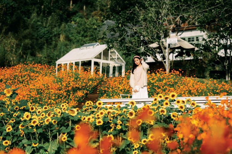 Homestay sở hữu khuôn viên vườn hoa hướng dương tuyệt đẹp cho bạn thoả sức check in sống ảo (nguồn: facebook.com)