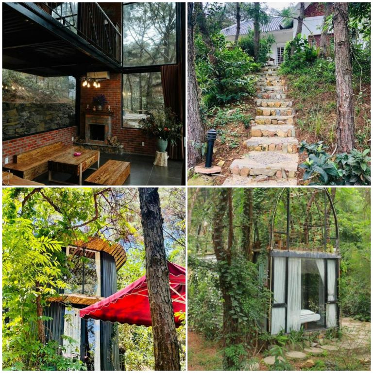 Nhà của Sóc được thiết kế nguyên căn bằng nhà kính nằm dưới rừng thông xanh mang đến cho du khách không gian lưu trú mát mẻ và rất tiện nghi 