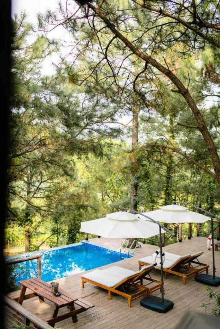 Một trong những hồ bơi của homestay nằm ở trung tâm các bungalow dưới rừng thông xanh 