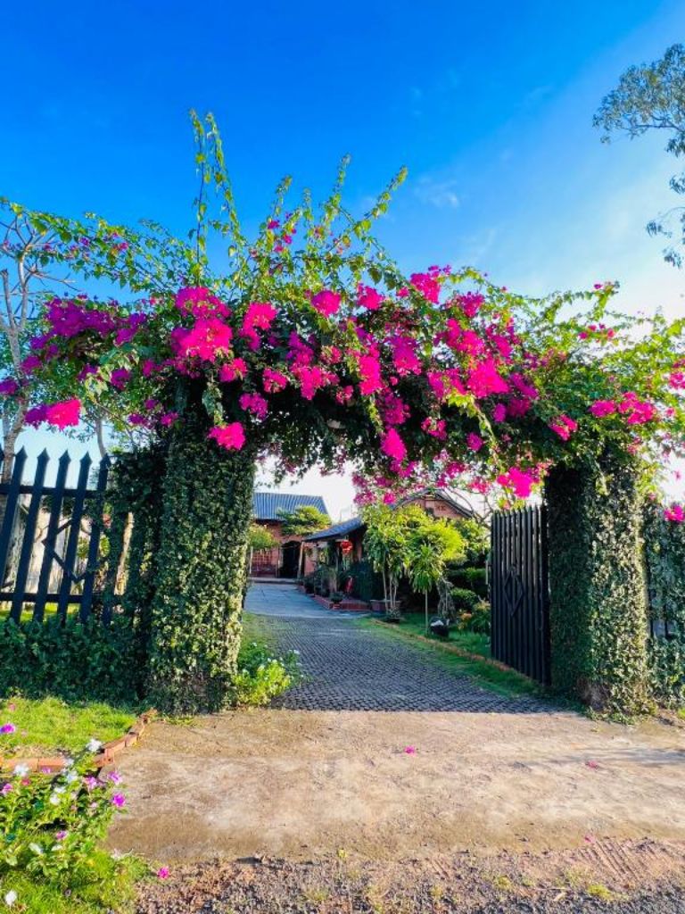 Bạn sẽ bị ấn tượng ngay bởi cánh cổng ngập tràn hoa giấy của Ho Tram Chill House ngay khi vừa trông thấy homestay Hồ Tràm này