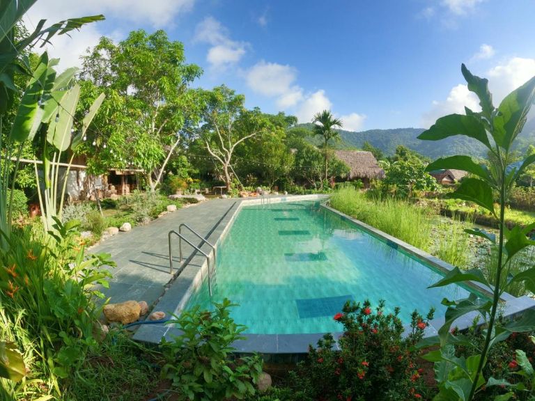 Homestay Mai Chau Valley Retreat sở hữu bể bơi riêng rộng khoảng 50 mét vuông cho bạn sử dụng miễn phí (nguồn: booking.com)