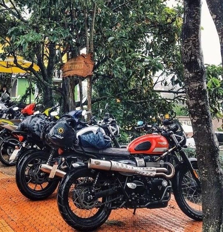 Homestay cung cấp dịch vụ cho thuê xe máy, dịch vụ trung hcuyeern và các tour du lịch quanh thành phố Đà Lạt