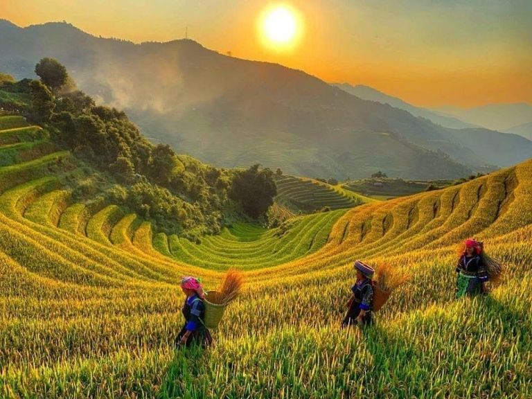 Mai Chau Farmstay cung cấp đa dạng các tour du lịch với mức giá cực kì hấp dẫn cho khách lưu trú (nguồn: facebook.com)