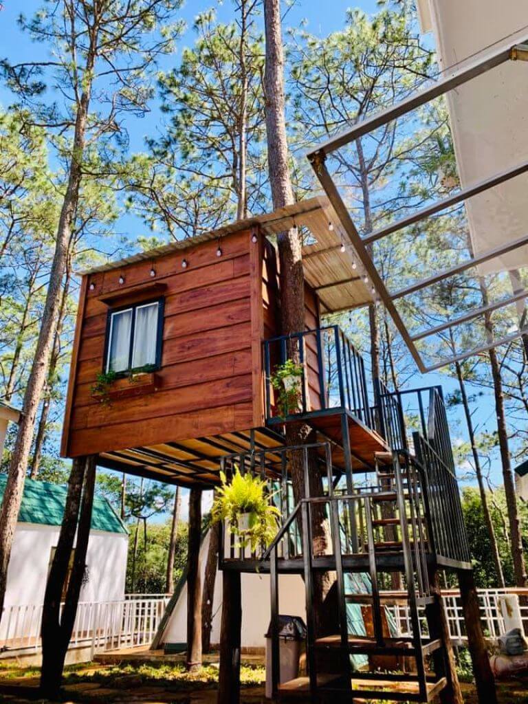 Nhà trên cây thiết kế độc đáo xây dựng hoàn toàn từ gỗ thông tự nhiên 