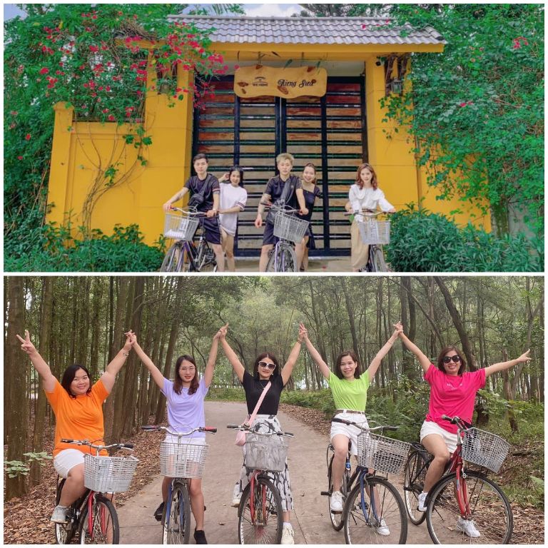 WeHome cung cấp xe đạp miễn phí cho du khách sử dụng đang quanh rừ Thông 