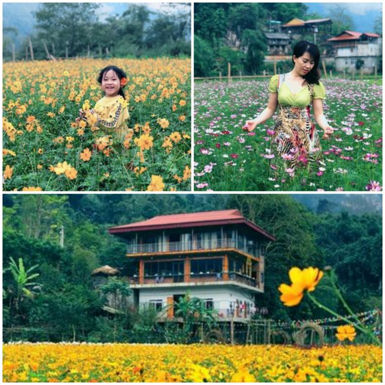 Khu vực vườn hoa được trồng theo mùa của homestay là một địa điểm check in rất được yêu thích và phục vụ miễn phí với du khách đặt các tour du lịch trọn gói tại Quỳnh Mai