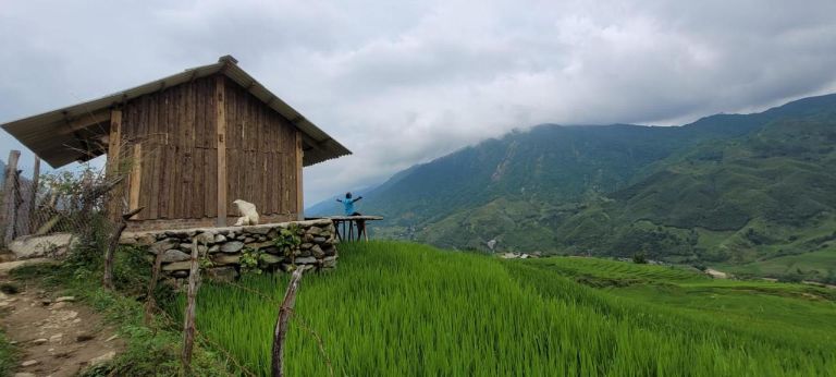 Bungalow Organic Farm Homestay Ban Ho hướng trọn tầm nhìn ra núi đồi tuyệt đỉnh (nguồn: facebook.com)