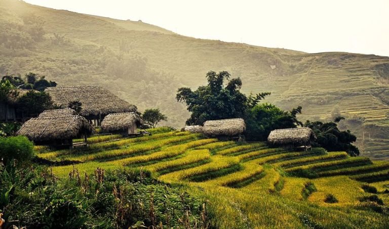 Homestay H'mong Mountain Retreat ôm trọn thung lũng ruộng bậc thang cực mê (nguồn: facebook.com)