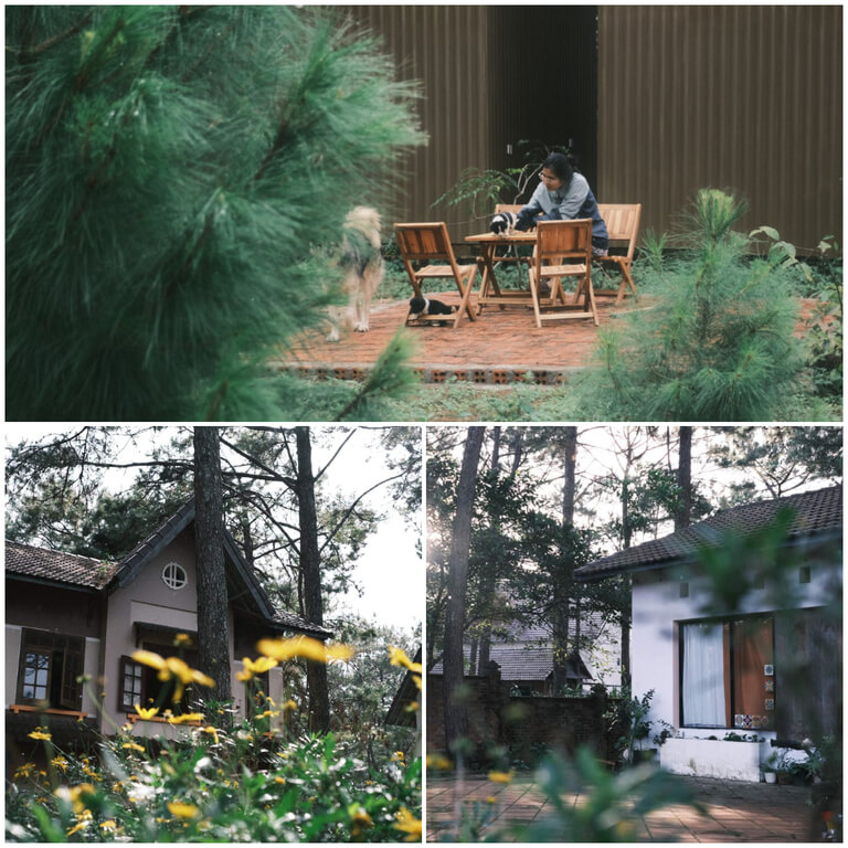 Khu vườn tại homestay có không gian rất thơ mộng và yên tĩnh (Nguồn: Facebook.com)