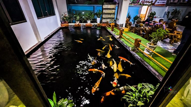 Tiểu cảnh bể cá ngoài sân là một điểm nhấn đặc biệt của Khách sạn Hoàng Lâm. (Nguồn: Internet)