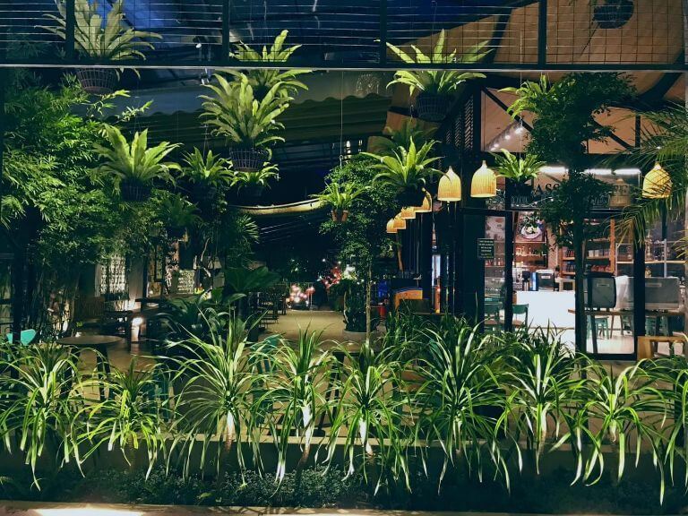 Không gian quán cà phê của J’rai homestay Pleiku theo hướng vintage với cách bày trí sử dụng chất liệu gỗ 
